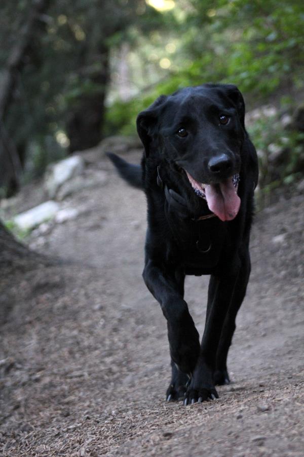 /Images/uploads/Humane Society of Utah/HSUCalendar/entries/1643thumb.jpg